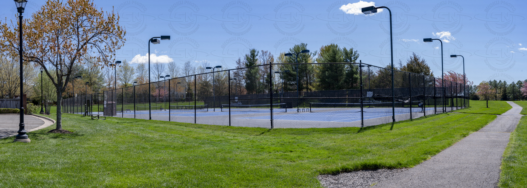 DSC7453-Pano